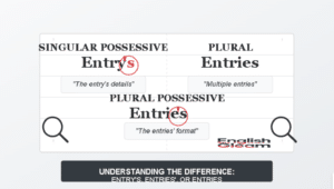 Understanding the Difference: Entry’s, Entries’, or Entries